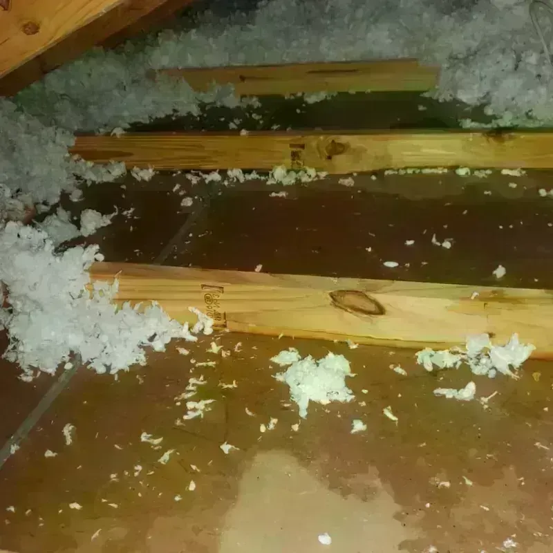 Attic Water Damage in Newfane, NY